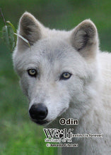 Load image into Gallery viewer, Small Flat Magnet