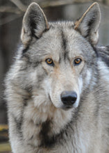 Load image into Gallery viewer, Small Flat Magnet