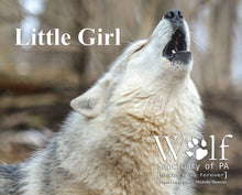 Load image into Gallery viewer, Puzzle