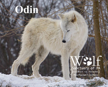 Load image into Gallery viewer, Puzzle