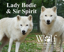 Load image into Gallery viewer, Puzzle