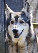 Load image into Gallery viewer, Small Flat Magnet