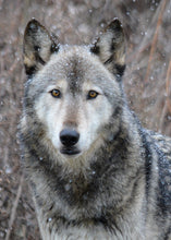 Load image into Gallery viewer, Small Flat Magnet