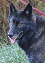 Load image into Gallery viewer, Small Flat Magnet