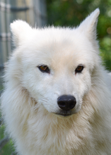 Load image into Gallery viewer, Small Flat Magnet