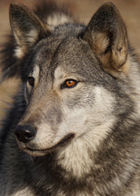 Load image into Gallery viewer, Small Flat Magnet