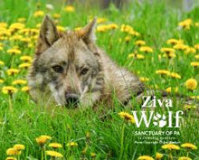 Load image into Gallery viewer, Puzzle