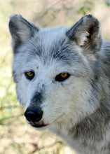 Load image into Gallery viewer, Small Flat Magnet