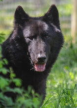 Load image into Gallery viewer, Small Flat Magnet