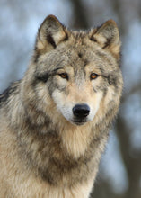 Load image into Gallery viewer, Small Flat Magnet