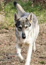 Load image into Gallery viewer, Small Flat Magnet