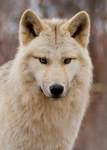 Load image into Gallery viewer, Small Flat Magnet