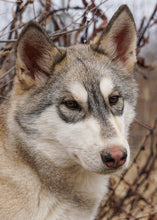 Load image into Gallery viewer, Small Flat Magnet