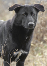 Load image into Gallery viewer, Small Flat Magnet