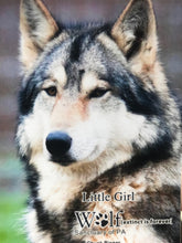 Load image into Gallery viewer, Small Flat Magnet