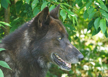 Load image into Gallery viewer, Small Flat Magnet