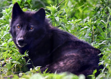 Load image into Gallery viewer, Small Flat Magnet