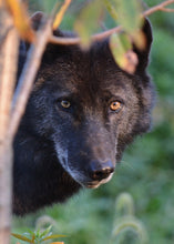 Load image into Gallery viewer, Small Flat Magnet