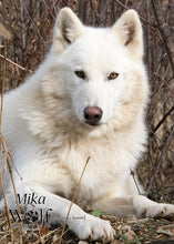 Load image into Gallery viewer, Small Flat Magnet