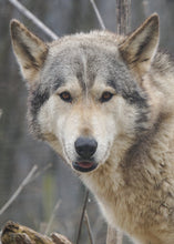 Load image into Gallery viewer, Small Flat Magnet