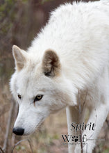 Load image into Gallery viewer, Small Flat Magnet