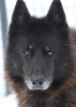 Load image into Gallery viewer, Small Flat Magnet