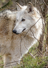 Load image into Gallery viewer, Small Flat Magnet