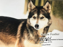 Load image into Gallery viewer, Small Flat Magnet