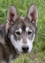 Load image into Gallery viewer, Small Flat Magnet