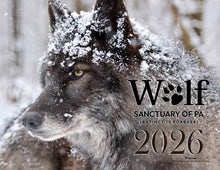 Load image into Gallery viewer, Calendar 2026
