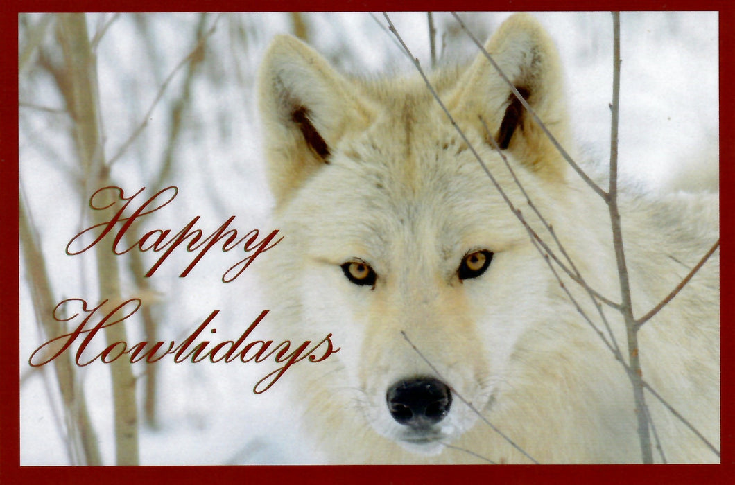 Holiday Cards
