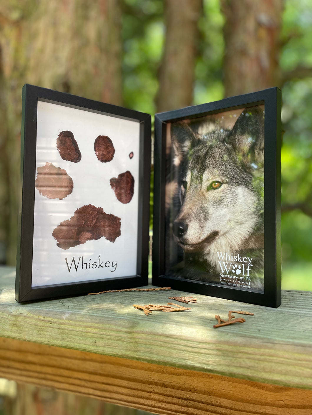 Framed Pawprint