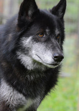 Load image into Gallery viewer, Small Flat Magnet
