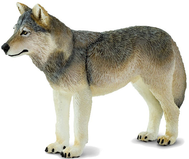 Safari Med TimberWolf 100509