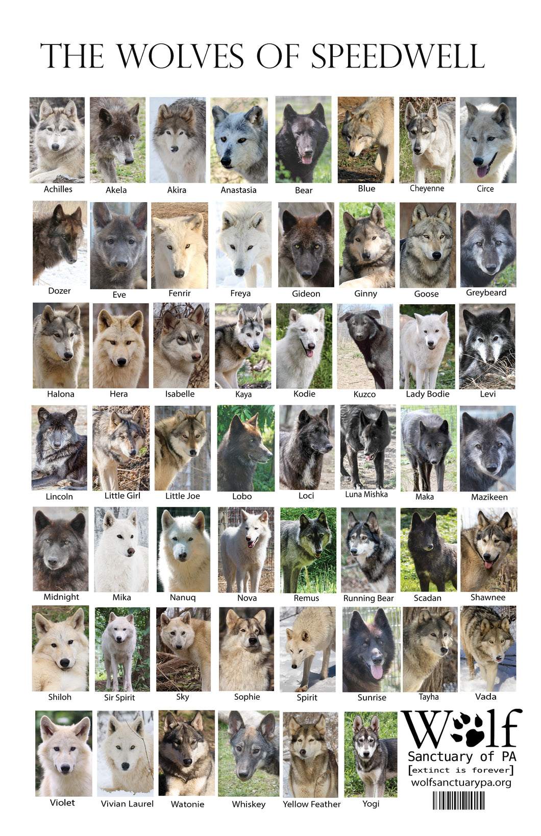 Wolves of Speedwell Sheet