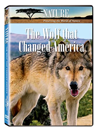 DVD Wolf That Changed America